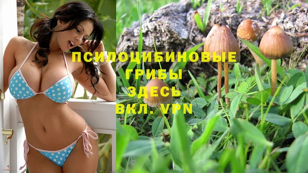 ALPHA-PVP Зерноград